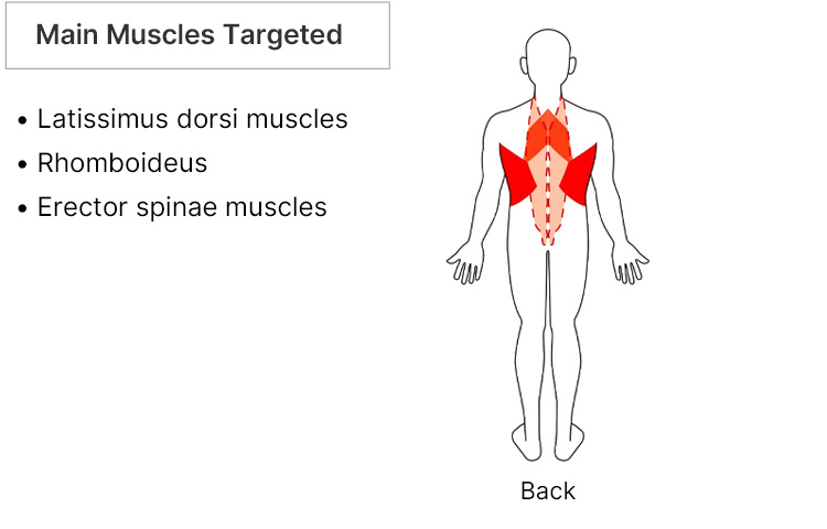 Main Muscles Targeted