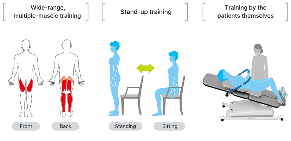 Wide-range,multiple-muscle training